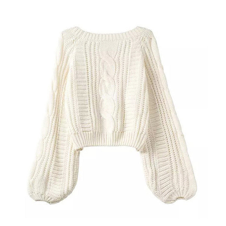 Cable Sleeve Coarse Yam Pure Color Pullover Sweater - Oh Yours Fashion - 1