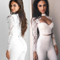 High Neck Pure Color Lace Long Sleeves Short Crop Top