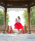 Romantic Multi-layer Pure Color A-line Tulle Skirt - Oh Yours Fashion - 4