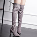 Sexy Suede Chunky Heel High Boots