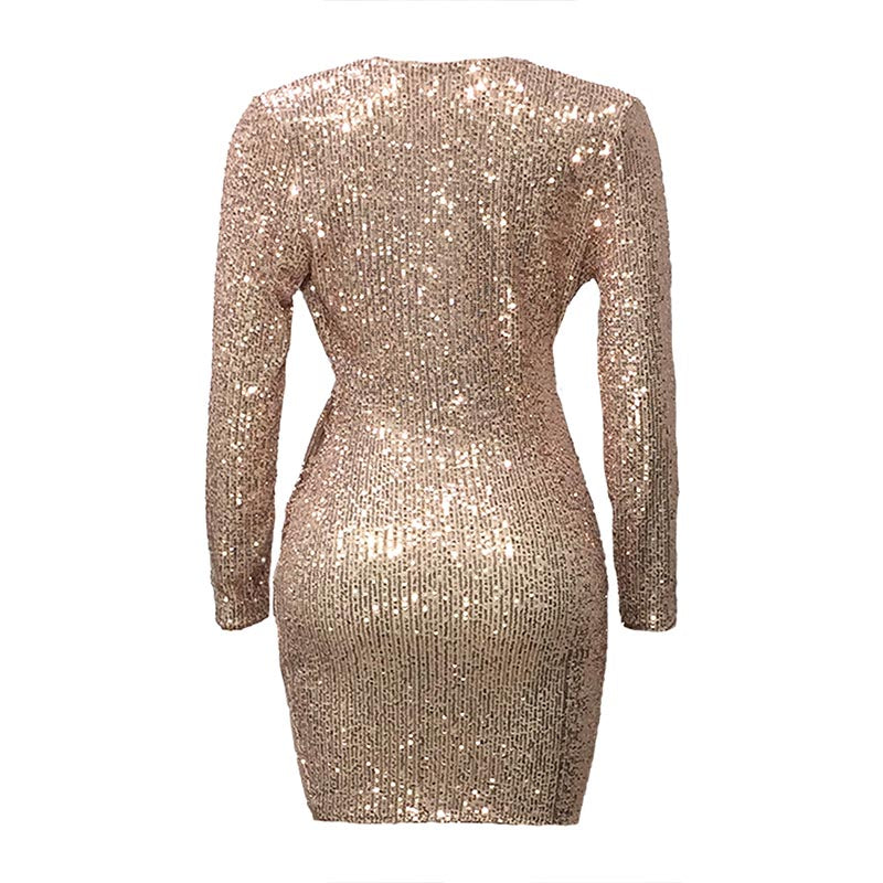 Night Club Glitter Short Dress