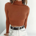 Turtleneck Slim Knit Women Cropped Short Sweater